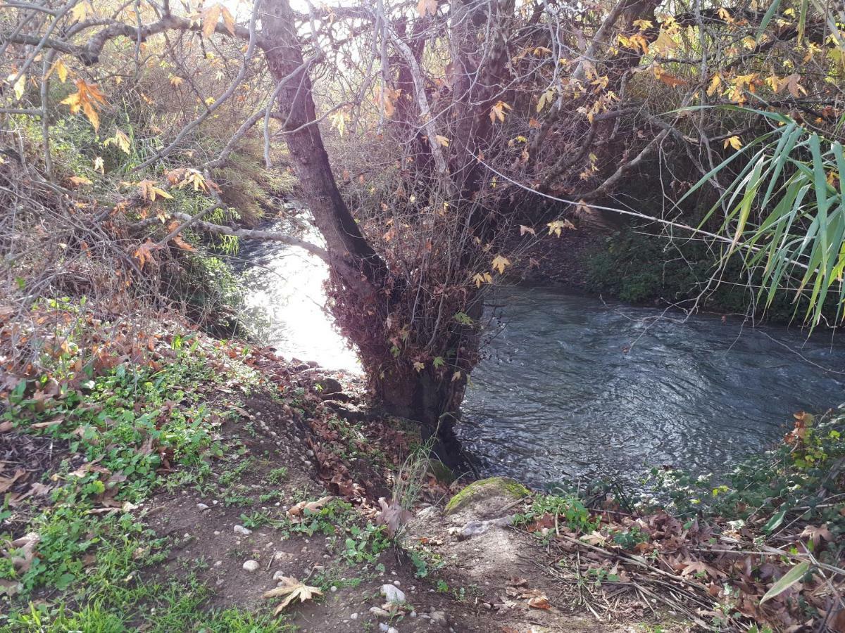 Villa By The River Facing The Hermon In Dafna Kültér fotó