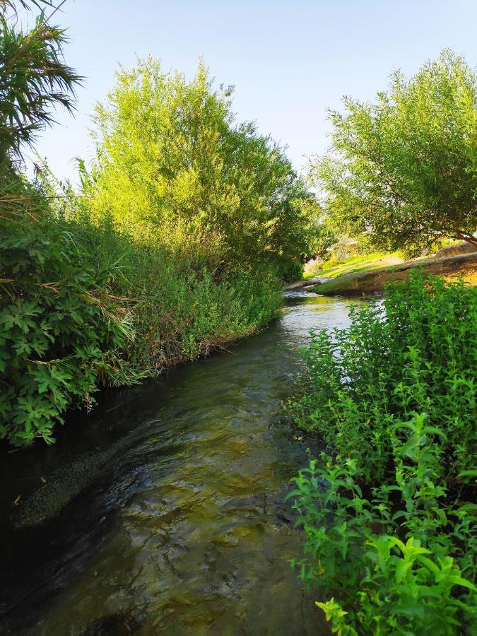 Villa By The River Facing The Hermon In Dafna Kültér fotó
